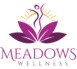 Meadows Wellness Noida